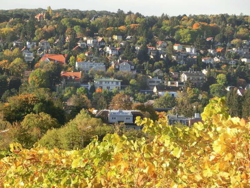 Schild